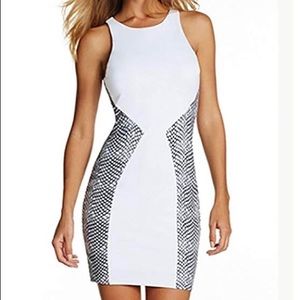 TART Shiloh Snake Geo dress